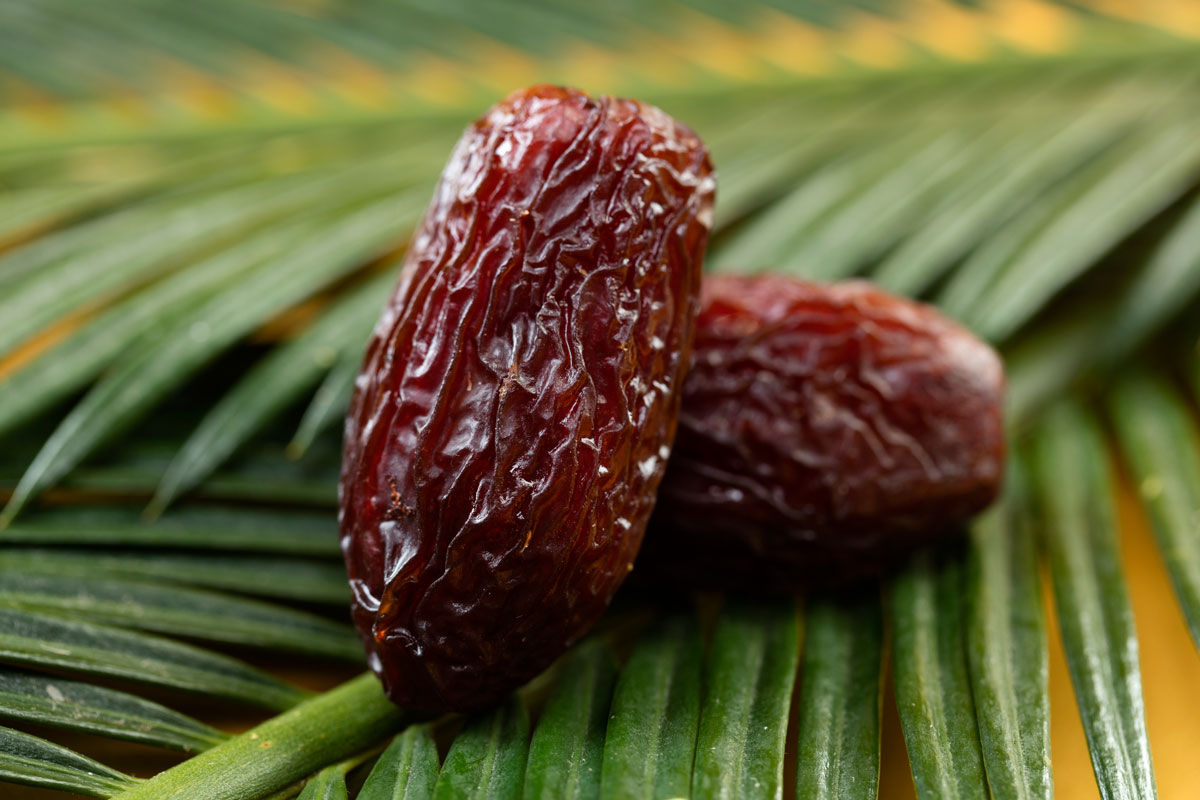 A World of Luxury Dates: Discovering the Finest Varieties